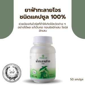 ยาฟ้าทะลายโจรชนิดแคปซูล 100%